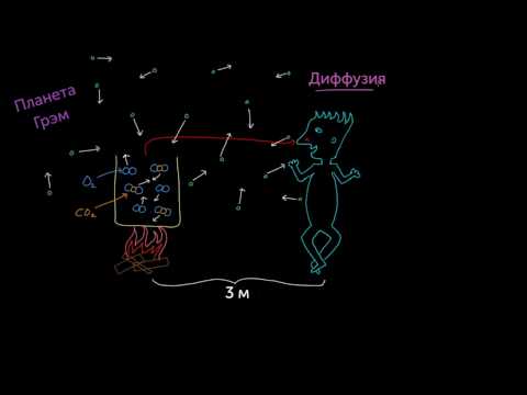 Видео: Закон диффузии Грэма