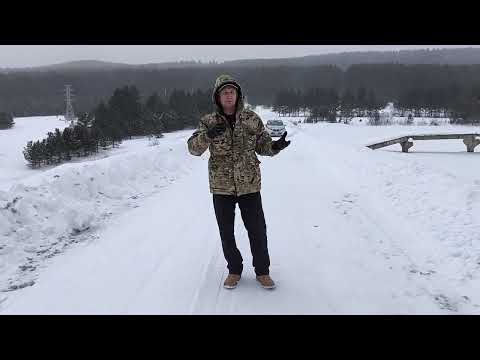 Видео: Как Я НЕ купил Автомобиль из Кореи!!