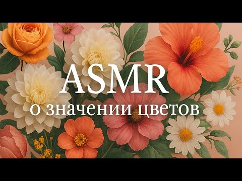 Видео: АСМР о значении цветов | болталка+тапинг | ASMR Brawl Stars