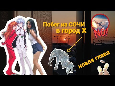 Видео: Из СОЧИ в... Новое начало. Впервые такое. Как обстоят дела. История переезда и причины. 