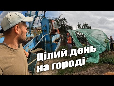 Видео: Цей день просто... || Копання картоплі, ремонт теплиці, чистка городу, новий акумулятор.