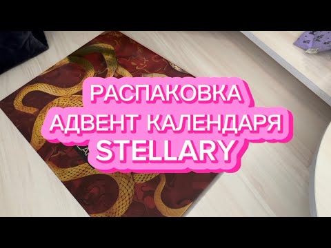 Видео: РАСПАКОВКА АДВЕНТ КАЛЕНДАРЯ STELLARY