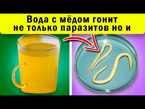 Видео: Пила ВОДУ С МЕДОМ утром и на ночь ежедневно. Вот что произошло через