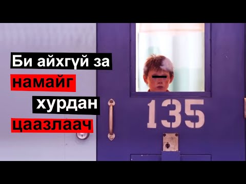 Видео: Цаазын ялтай үнэн зэрлэг тожигнууд...