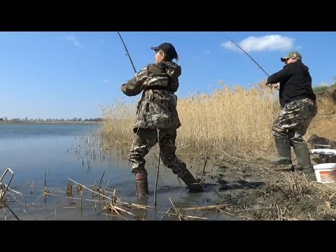 Видео: Ловля крупного карася на фидер. Весенняя рыбалка