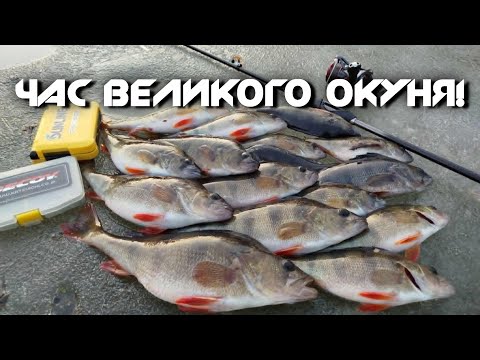 Видео: 💥Весняні ГОРБАЧІ після СХОДУ криги! ☘️ВЕЛИКИЙ окунь на ПСЛІ!☀️