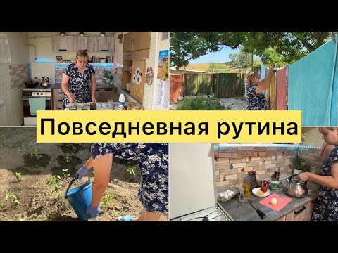 Видео: Повседневные дела.