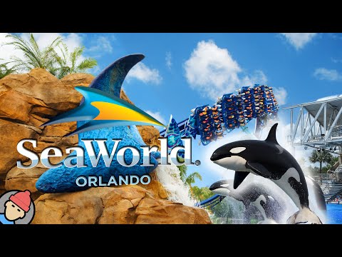 Видео: АТТРАКЦИОНЫ И ДОСТОПРИМЕЧАТЕЛЬНОСТИ Seaworld Orlando