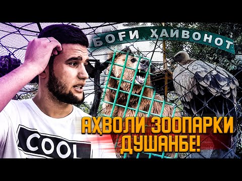 Видео: АХВОЛИ ЗООПАРКИ ДУШАНБЕ!