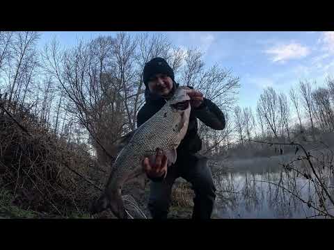 Видео: Рекордные ЖЕРЕХИ на спиннинг зимой...