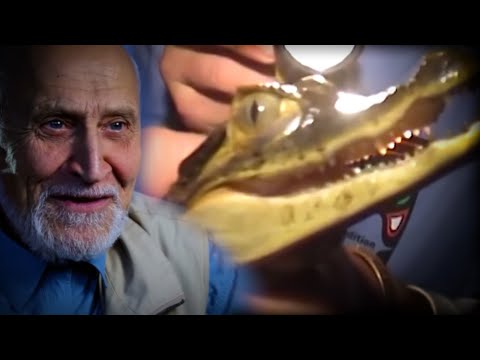 Видео: К дикому племени индейцев Амазонки