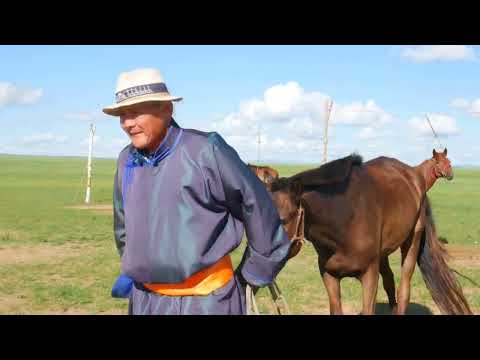 Видео: Ардын уламжлалт малын эмгэг анагаах арга ухаан