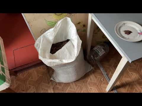 Видео: Переработка Табака 