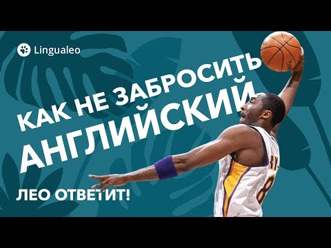 Видео: КАК НЕ ЗАБРОСИТЬ английский? Лео ответит!