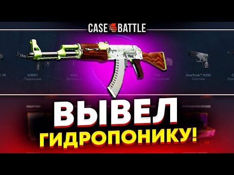 Видео: ГИДРОПОНИКА С 1000 РУБЛЕЙ НА КЕЙС БАТЛ?! СДЕЛАЛ X100 ОТ ДЕПОЗИТА?!