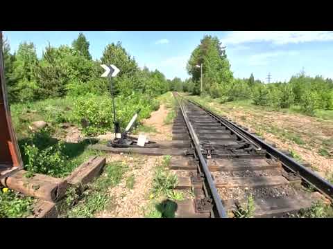 Видео: Маршрут № 6 Тропа Хо-Ши-Мина (весь путь на оз. Ястребиное на видео)