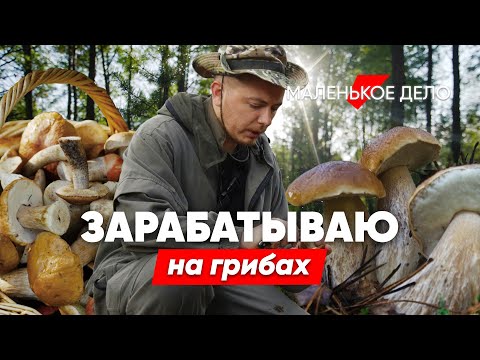 Видео: «Сделать $1000 в месяц — легко». Парень рассказал, как зарабатывает на грибах