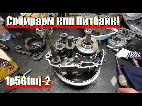 Видео: Собираем кпп Питбайк! 1p56fmj-2