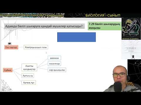 Видео: 7.31. Адамда бөліп шығаруға қандай мүшелер қатысады? #биология #7сыныпбиология #ұбтбиология #убтбио