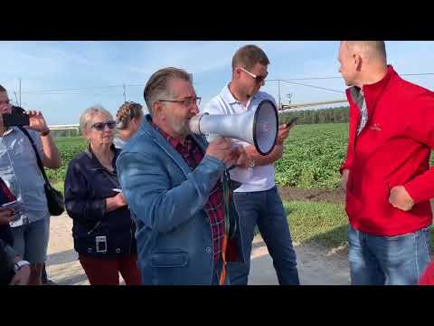 Видео: Бизнес тур с Novosad . Agronomplants.pl . Клубника