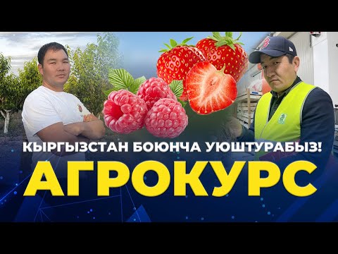 Видео: Келе жаткан 2024-жылы базар кандай болот?