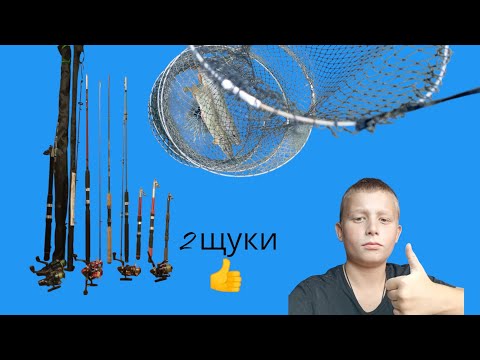 Видео: Это самая  лучшая рыбалка на этом вадаёме 🎣🎣 #fishing