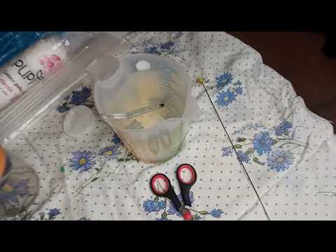 Видео: Искусственное осеменение коровы. Часть 3. Практика.