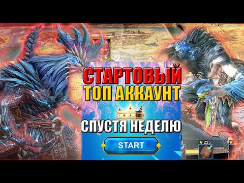 Видео: ⚡ МИФИЧЕСКАЯ СВЯЗКА НАИЗ + ГАЛЕУС! 💎 ЛАЙФ АРЕНА, ПРОКЛЯТЫЙ ГОРОД и ОБЗОРЫ ЗРИТЕЛЕЙ