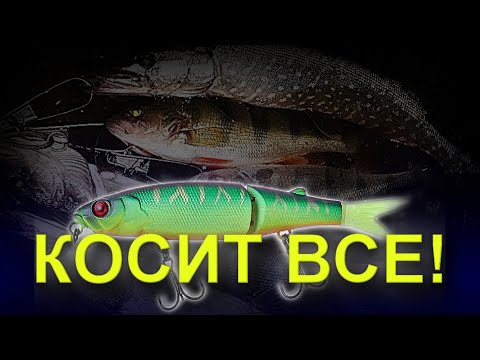 Видео: Jackall Tiny Magallon ЛОВИТ ЩУК ОСЕНЬЮ! РЫБАЛКА НА СПИННИНГ