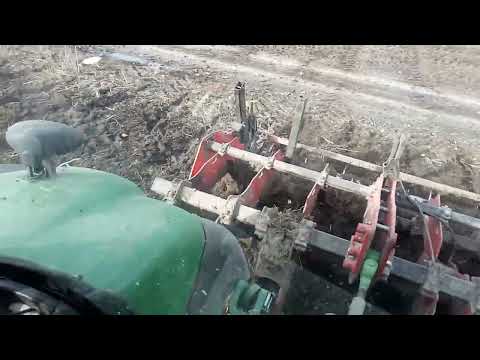 Видео: 4 листопада 2025 р.