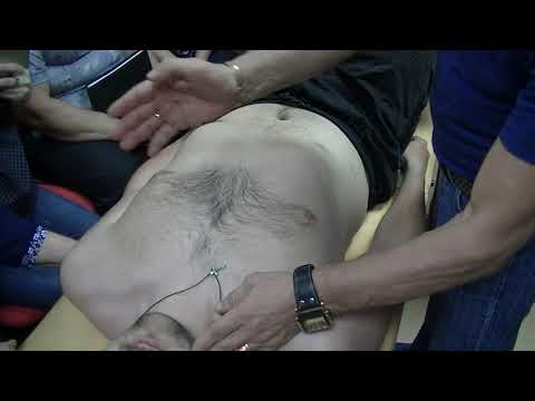 Видео: Массаж:луковица 12-перстной кишки