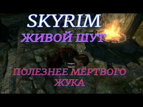 Видео: SKYRIM (Живой шут полезнее мертвого жука)