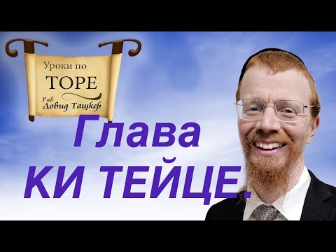 Видео: Глава Ки Тейце. Не будь ослом!