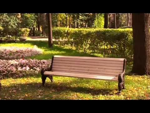 Видео: Сталин Live 21