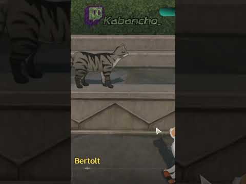 Видео: Исправляем  ошибки разрабов #shorts #wutheringwaves