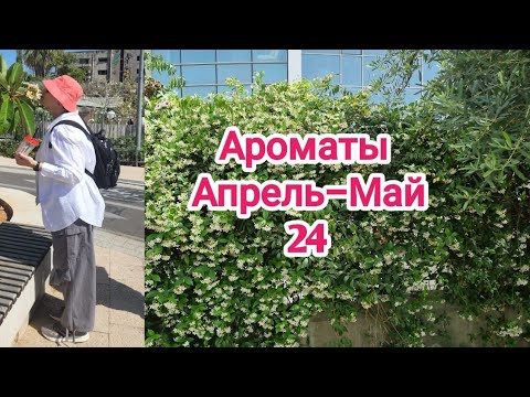Видео: Ароматы за апрель-май 2024 #ksenyanagar #парфюмерия #ароматы #духи #парфюм