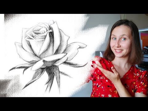 Видео: Как нарисовать розу карандашом поэтапно для начинающих