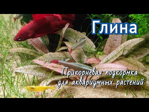 Видео: Простое прикорневое удобрение для аквариумных растений.