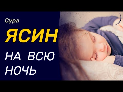 Видео: Ясин на всю ночь - слушайте каждый день.