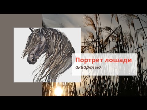 Видео: Рисуем акварелью “Портрет лошади” порода Фриз. Бесплатные уроки рисования на Ютуб.