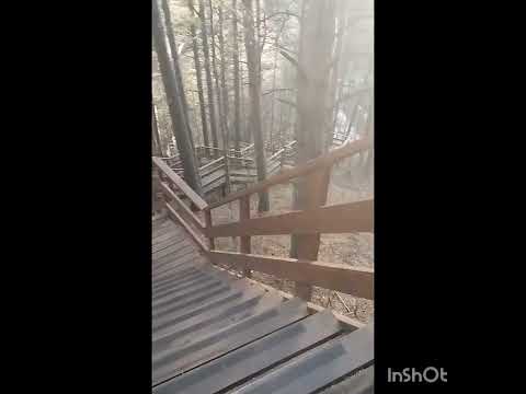 Видео: 1.11.25.Поборола СТРАХ БЕЗ ПСИХОЛОГА