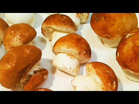 Видео: Яблочный ЗЕФИР "грибочки" помощью ручного миксера.