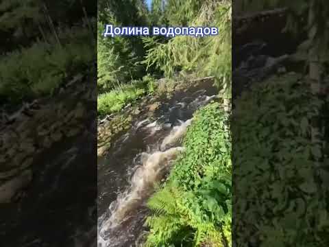 Видео: экотропа по рекеЙййоки #карелия