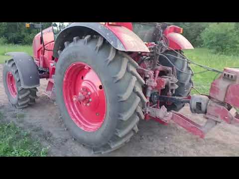 Видео: Убрали рожь или горох - что дальше с полем?