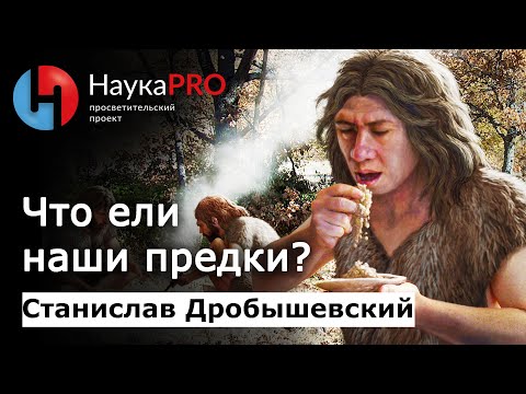 Видео: Что ели наши предки? – антрополог Станислав Дробышевский | Научпоп