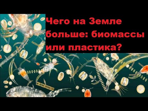 Видео: Чего на Земле больше: биомассы или пластика?