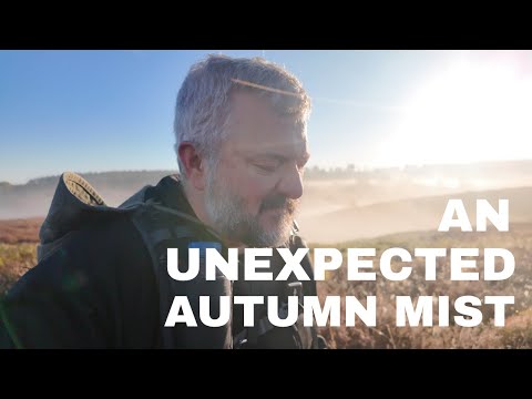 Видео: Фотографируем неожиданное туманное утро.