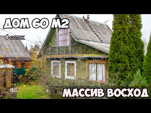 Видео: Дача 60 м2 на участке 6 соток в массиве Восход Ленинградской области