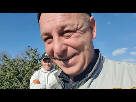 Видео: Викопка саджанців малини в самому розгарі. 