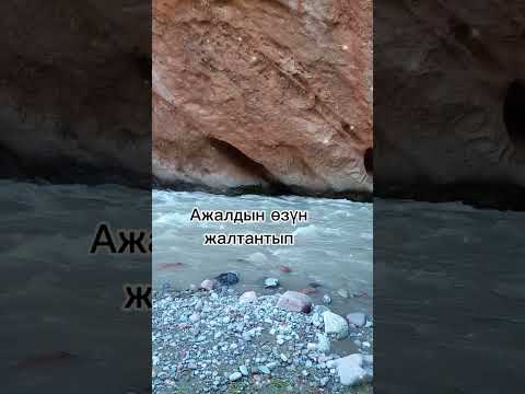 Видео: Өмүрүң өтсө келеби,  өкүнсөң бирөө береби